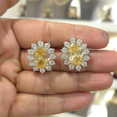 Zini a.d studs