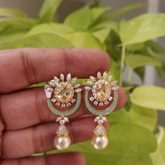 Urfi champagne Earrings