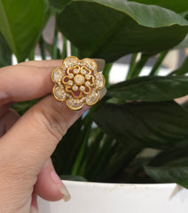 Shanvi moissanite polki set