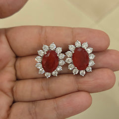 Zini a.d studs