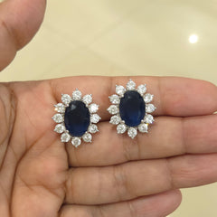 Zini a.d studs